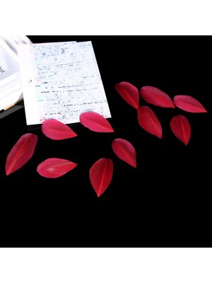 Перья декоративные,цв-бордовый,размер 5-7 см,цена за 50 шт