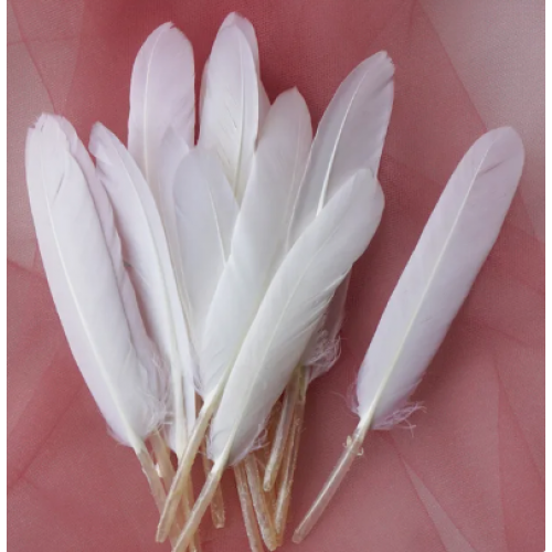 Перья декоративные,цв-белый,размер 10-13см,цена за 50 шт