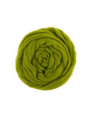 "Шерсть для валяния" 100% полутонкая шерсть 50 г №1551 аспарагус