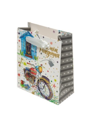  Подарочный пакет  210 г/кв.м 12 х 14 х 6 см