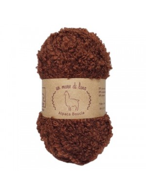 Пряжа ALPACA BOUCLE WS (АЛЬПАКА БУКЛЕ ВУЛ СИ) 26 - ШОКОЛАД Пряжа ALPACA BOUCLE WS (АЛЬПАКА БУКЛЕ ВУЛ СИ) 26 - ШОКОЛАД