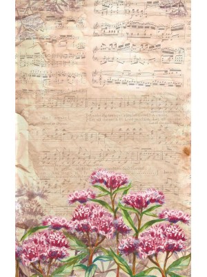  Рисовая бумага для декупажа"Love2art" 32 x 22 см "Мелодия августа"