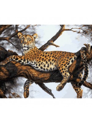 Рисование по номерам (живопись на холсте), Леопард на отдыхе, 40*50 см.32 цв.