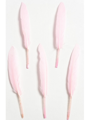 Перья декоративные,цв-светло-розовый.размер 10-13см,цена за 20 шт