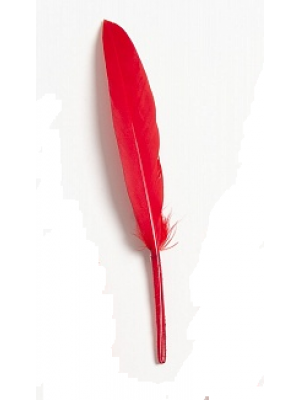 Перья декоративные,цв-красный.размер 10-13см,цена за 20 шт