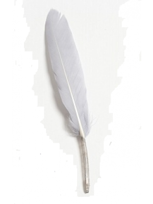 Перья декоративные,цв-серый.размер 10-13см,цена за 20 шт