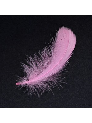 Перья декоративные,цв-розовый(08).размер 10-13см,цена за 30 шт