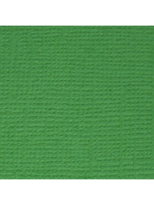 Бумага текстурированная-PST-Лесной папоротник (зелёный),30,5*30,5 см,цена за 1 лист