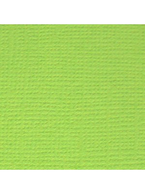 Бумага текстурированная-PST-зеленое яблоко,30,5*30,5 см,цена за 1 лист