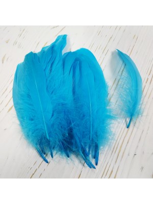Перья декоративные,цв-голубая бирюза(03).размер 10-15см,цена за 20 шт