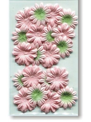 Набор цветков из шелковичной бумаги,зелено-персиковый, 2 вида,упак./20 шт. 