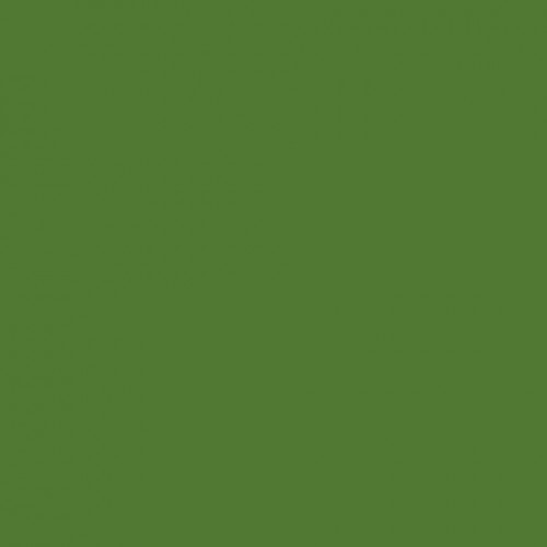 Плотный краситель BASE,№13 Зеленый, 15мл., ProArt