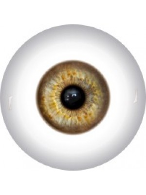 10 мм-Глаза для кукол №1,цена за пару