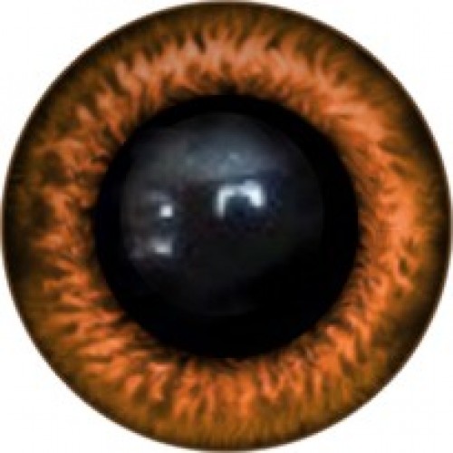 Глаза винтовые на штырьке 12 мм,цена за пару