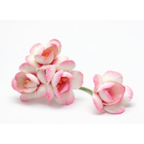 Цветы сакуры,нежно-розовые, набор из 4х штук