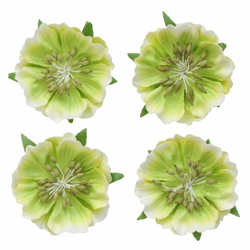 Цветы Анемоны,светло-зелёные,набор из 4шт